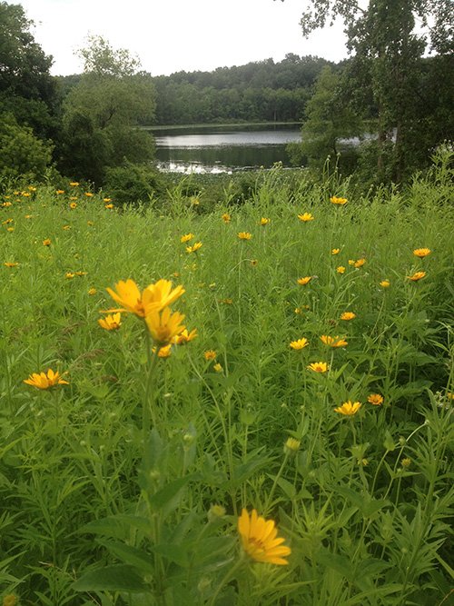 Property photo 119 - REAL ESTATE AUCTION, 163+/- Acres offered in 8 Tracts